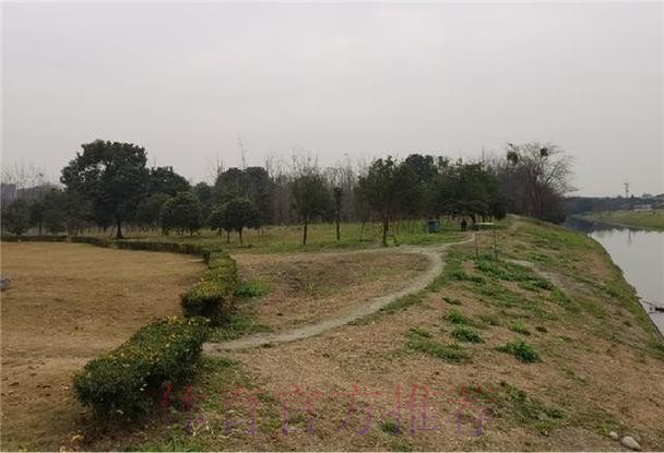 引领“公园城市·幸福成都”运动新风尚 引领“公园城市·幸福成都”运动新风尚